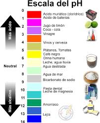 medir ph