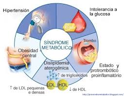 metabolico