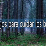 consejos para cuidar los bosques españoles