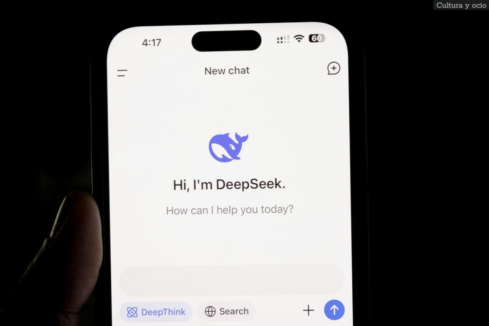 Qué es DeepSeek?