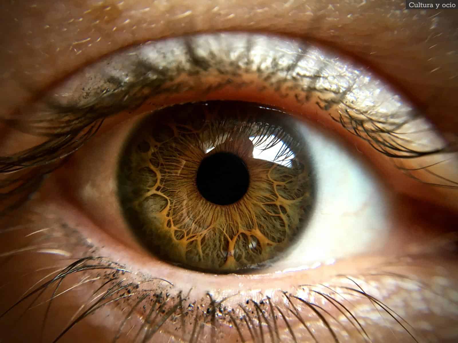 a close up of a person's green eye