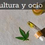 Aceite de CBD: beneficios reales, usos habituales y qué mirar antes de comprar